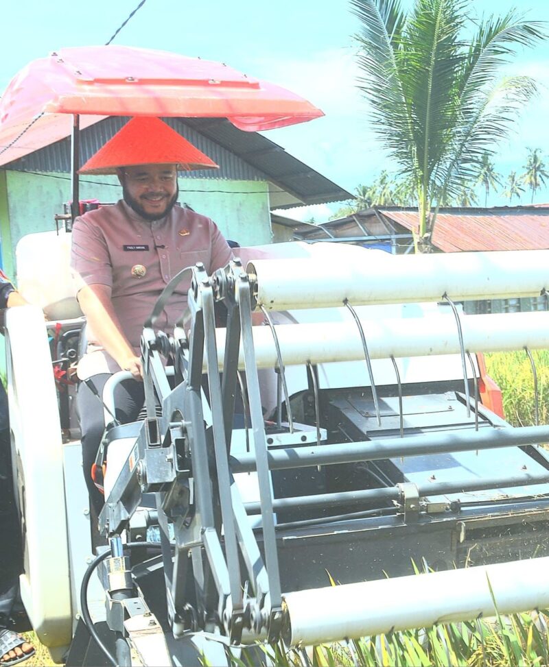 Wali Kota Padang, Fadly Amran saat kegiatan panen padi di areal pertanian Kelompok Tani Harapan Baru, di Jalan Belimbing, Kelurahan Kuranji, Kecamatan Kuranji, Jumat (25/4/2025). (Foto: Prokopim Padang)