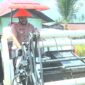 Wali Kota Padang, Fadly Amran saat kegiatan panen padi di areal pertanian Kelompok Tani Harapan Baru, di Jalan Belimbing, Kelurahan Kuranji, Kecamatan Kuranji, Jumat (25/4/2025). (Foto: Prokopim Padang)