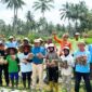 Wakil Wali Kota Payakumbuh Elzadaswarman panen bawang merah bersama Keltan Serasih di Kelurahan Koto Panjang Payobasung, Kamis (3/4/2025). (Foto: Pemko Payakumbuh)