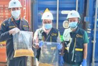 Petugas Karantina Sumatera Barat memeriksa 16 kontainer bungkil jagung impor dari Amerika Serikat di Pelabuhan Teluk Bayur. (Foto: Balai Karantina Sumbar)