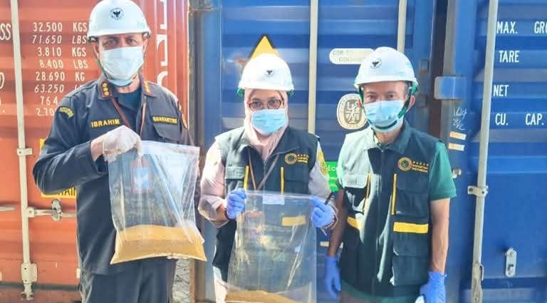 Petugas Karantina Sumatera Barat memeriksa 16 kontainer bungkil jagung impor dari Amerika Serikat di Pelabuhan Teluk Bayur. (Foto: Balai Karantina Sumbar)