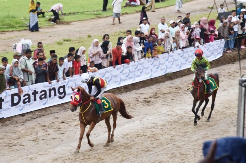 Kejuaraan pacu kudo di Arena Pacu Kudo Duku Banyak, Balah Aie, Kecamatan VII Koto Sungai Sariak, Kabupaten Padang Pariaman, Sabtu (5/4/2025). (Foto: Kominfo Pariaman)