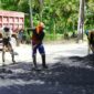 Petugas Dinas PUPR Padang sedang melakukan perbaikan jalan berlubang di salah satu titik di Kota Padang, Kamis (9/5/2025). (Foto: Diskominfo Padang)