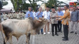 Wakil Wali Kota Padang, Maigus Nasir menyerahkan secara simbolis hewan kurban kepada perwakilan pengurus rumah ibadah di halaman kantor Perumda AM Kota Padang, Rabu (14/5/2025). (Foto: Prokopim Padang)