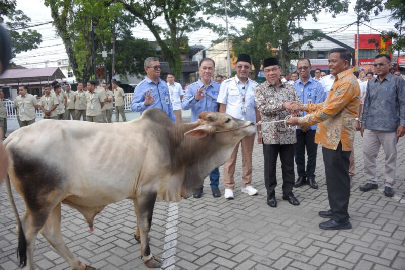 Wakil Wali Kota Padang, Maigus Nasir menyerahkan secara simbolis hewan kurban kepada perwakilan pengurus rumah ibadah di halaman kantor Perumda AM Kota Padang, Rabu (14/5/2025). (Foto: Prokopim Padang)