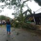 TRC BPBD Padang membersihkan pohon tumbang di kawasan Jalan Bunda, RT 01 RW 06, Kelurahan Ulak Karang Utara, Kecamatan Padang Utara, Jumat (16/5/2025). (Foto: BPBD Padang)