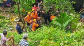 Tim gabungan mengevakuasi seorang buruh yang terjepit pohon saat menebang pohon, Rabu (28/5/2025). (Foto: BPBD Padang)