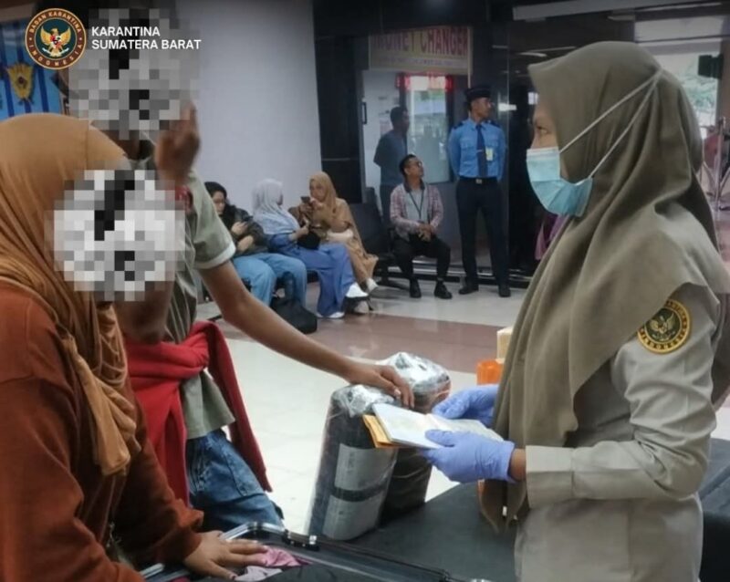 Petugas Karantina Sumbar menemukan buah-buahan saat melakukan pemeriksaan di BIM. (Foto: Karantina Sumbar)
