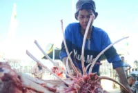 Dinas Kesehatan Padang mengimbau masyarakar agar tidak mengonsumsi daging sapi secara berlebihan. (Foto: Diskominfo Padang)
