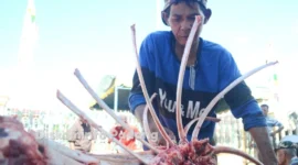 Dinas Kesehatan Padang mengimbau masyarakar agar tidak mengonsumsi daging sapi secara berlebihan. (Foto: Diskominfo Padang)