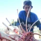 Dinas Kesehatan Padang mengimbau masyarakar agar tidak mengonsumsi daging sapi secara berlebihan. (Foto: Diskominfo Padang)