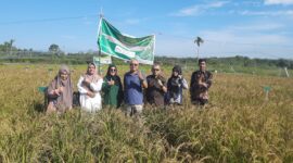 Prof. Dr. M. Zulman Harja Utama bersama Tim Monev Universitas Taman Siswa di lokasi penelitian sawah padi hitam di daerah Banda Cino, Korong Talao Mundam, Kenagarian Kataping, Padangpariaman, Senin (2/6/2025).