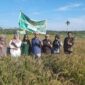 Prof. Dr. M. Zulman Harja Utama bersama Tim Monev Universitas Taman Siswa di lokasi penelitian sawah padi hitam di daerah Banda Cino, Korong Talao Mundam, Kenagarian Kataping, Padangpariaman, Senin (2/6/2025).