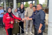 Bupati Dharmasraya Annisa Suci Ramadhani memimpin penyerahan hewan kurban secara simbolis di Pasar Ternak Gunung Medan, Kamis (5/6/2025). (Foto: Tim ADC ASR)