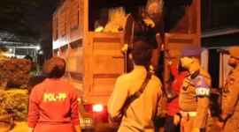 Satpol PP Padang menjaring remaja tanpa identitas dalam operasi pengawasan dan penertiban sejumlah tempat hiburan malam. (Foto: Humas Satpol PP Padang)