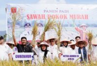 Wagub Sumbar Vasko Ruseimy mendampingi Ketua Komisi IV DPR RI, Titiek Soeharto dan lainnya panen padi Sawah Pokok Murah di Kabupaten Agam, Sabtu (21/6/2025). (Foto: ADPSB)