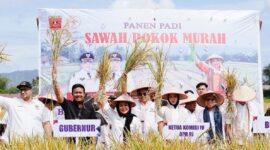 Wagub Sumbar Vasko Ruseimy mendampingi Ketua Komisi IV DPR RI, Titiek Soeharto dan lainnya panen padi Sawah Pokok Murah di Kabupaten Agam, Sabtu (21/6/2025). (Foto: ADPSB)