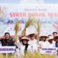 Wagub Sumbar Vasko Ruseimy mendampingi Ketua Komisi IV DPR RI, Titiek Soeharto dan lainnya panen padi Sawah Pokok Murah di Kabupaten Agam, Sabtu (21/6/2025). (Foto: ADPSB)