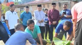Wakil Wali Kota Padang Maigus Nasir menyaksikan pemotongan hewan kurban di Kantor LPKS Kasih Ibu, Kompleks Desaku Menanti, Minggu (8/6/2025). (Foto: Prokopim Padang)