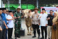 Presiden Prabowo Subianto, menyumbangkan sapi kurban seberat 850 kg kepada warga Kota Solok. (Foto: Prokopim Kota Solok)