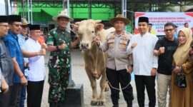 Presiden Prabowo Subianto, menyumbangkan sapi kurban seberat 850 kg kepada warga Kota Solok. (Foto: Prokopim Kota Solok)