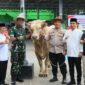 Presiden Prabowo Subianto, menyumbangkan sapi kurban seberat 850 kg kepada warga Kota Solok. (Foto: Prokopim Kota Solok)