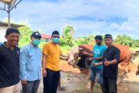 Presiden Prabowo Subianto berkurban sapi 1 ton di Pasaman Barat. (Foto: Diskominfo Pasbar)