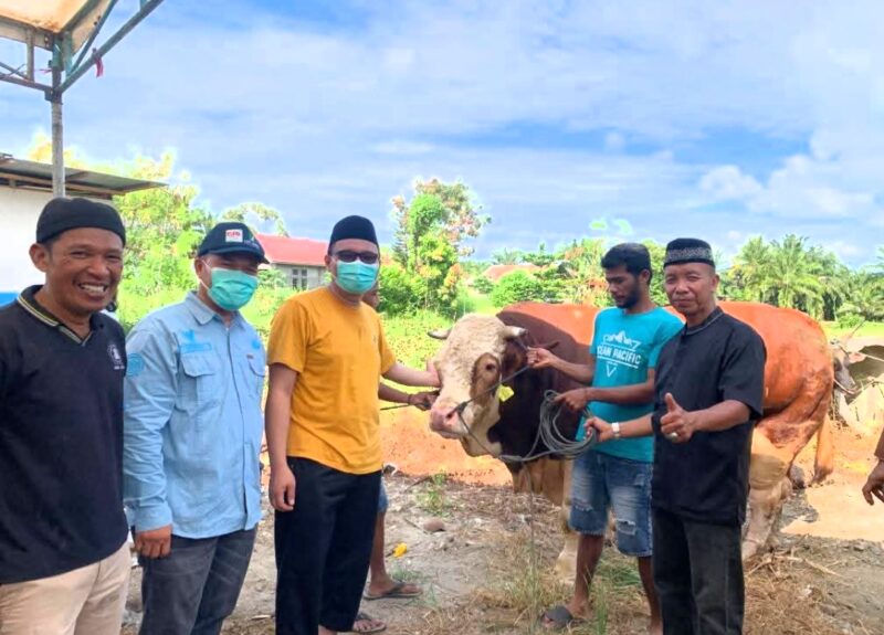 Presiden Prabowo Subianto berkurban sapi 1 ton di Pasaman Barat. (Foto: Diskominfo Pasbar)