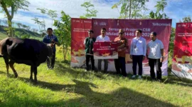 Telkomsel kembali menyalurkan hewan kurban ke seluruh Indonesia melalui program CSR “Sambungkan Senyuman”. (Foto: Telkomsel) 