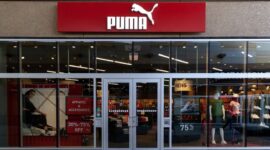 Ilustrasi Puma. (Foto/IStockphoto)