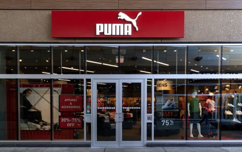 Ilustrasi Puma. (Foto/IStockphoto)