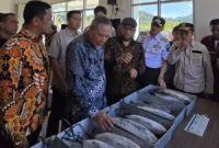Rombongan investor asal Jepang bersama Bupati Pessel, Hendrajoni saat meninjau Sentra IKM Perikanan di Carocok Tarusan. (Foto: Dok. Be)