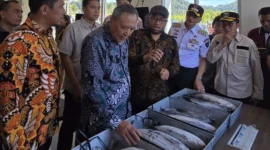 Rombongan investor asal Jepang bersama Bupati Pessel, Hendrajoni saat meninjau Sentra IKM Perikanan di Carocok Tarusan. (Foto: Dok. Be)