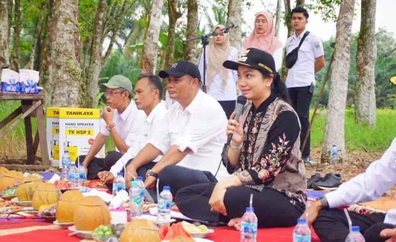Bupati Dharmasraya, Annisa Suci Ramadhani berdialog bersama petani di Nagari Gunung Medan, Kecamatan Sitiung, Rabu (2/7/2025). (Foto: Pemkab Dharmasraya)
