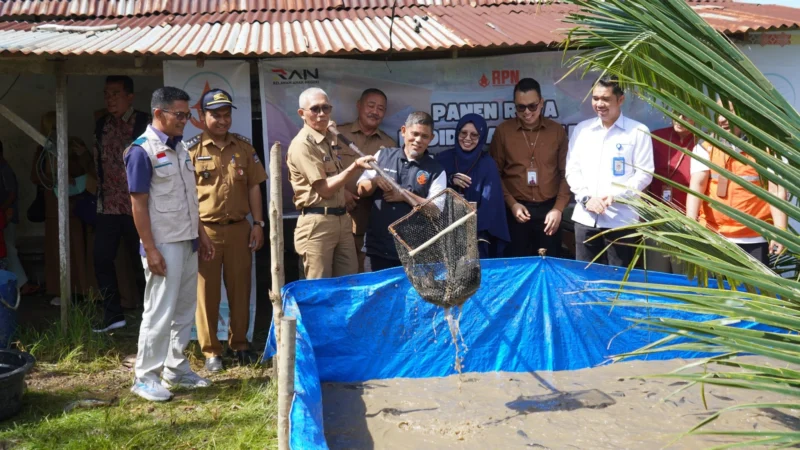 Kepala Dinas Perikanan dan Pangan Kota Padang, Alfiadi panen raya lele di kawasan Bukit Anak Air, Kelurahan Batipuh Panjang, Kecamatan Koto Tangah, Selasa (8/7/2025). (Foto: Diskominfo Padang)