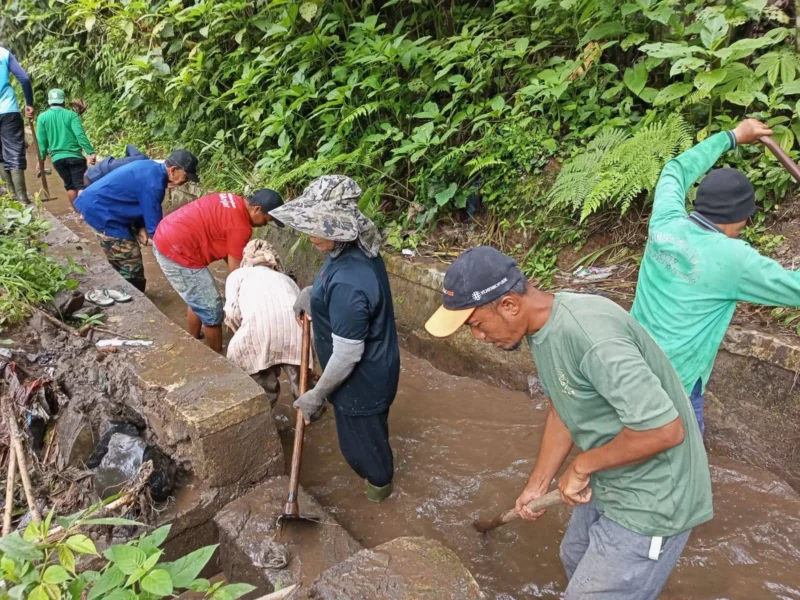 Enam daerah irigasi di Padang Panjang menerima Program P3-TGAI 2025 untuk rehabilitasi jaringan irigasi dan peningkatan hasil pertanian. (Foto: Kominfo Padang Panjang)