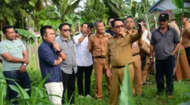 Bupati Padang Pariaman, John Kenedy Azis bersama tim dari PT SMI meninjau lokasi rencana pembangunan RSUD Tipe D di Nagari Pilubang, Kecamatan Sungai Limau, Selasa (29/7/2025). (Foto: Kominfo Padang Pariaman)