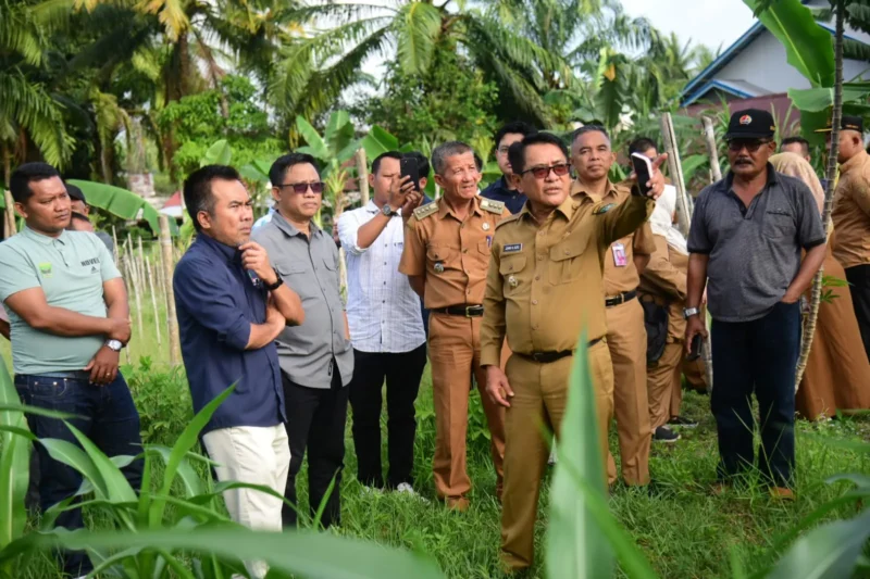 Bupati Padang Pariaman, John Kenedy Azis bersama tim dari PT SMI meninjau lokasi rencana pembangunan RSUD Tipe D di Nagari Pilubang, Kecamatan Sungai Limau, Selasa (29/7/2025). (Foto: Kominfo Padang Pariaman)