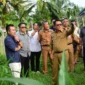 Bupati Padang Pariaman, John Kenedy Azis bersama tim dari PT SMI meninjau lokasi rencana pembangunan RSUD Tipe D di Nagari Pilubang, Kecamatan Sungai Limau, Selasa (29/7/2025). (Foto: Kominfo Padang Pariaman)