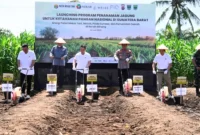 Wabup Tanah Datar Ahmad Fadly menghadiri launching Paten Mekar Tani di Padang Pariaman, Kamis (24/7/2025). (Foto: Prokopim Tanah Datar)