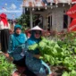 Ketua TP-PKK Pasbar, Ny. Sifrowati Yulianto bersama tim melakukan penilaian kelompok Dasawisma di Nagari Lingkuang Aua Bandarajo, Kecamatan Pasaman, Rabu (13/8). (Foto: Diskominfo Pasbar)