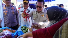 Bupati Eka Putra meninjau Gerakan Pangan Murah yang digelar Polres Tanah Datar bekerja sama dengan Perum Bulog di depan Lapangan Cindua Mato, Kamis (14/8/2025). (Foto: Prokopim Tanah Datar)