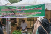 Agodang mampu mengurai hingga 15 ton sampah organik setiap hari. (Foto: Diskominfo Padang)