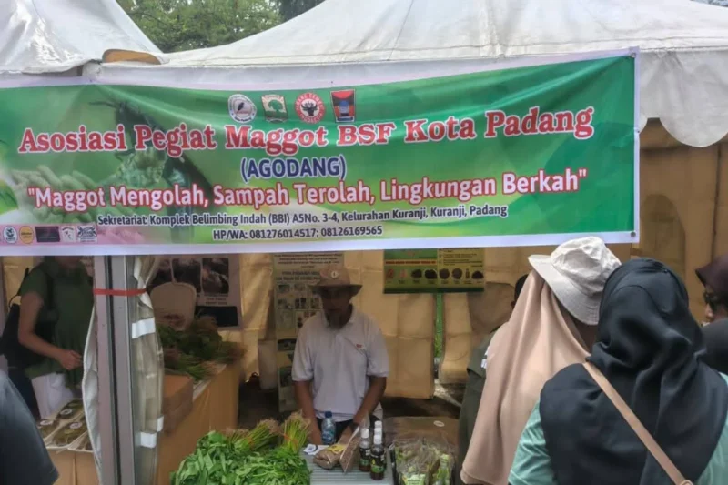 Agodang mampu mengurai hingga 15 ton sampah organik setiap hari. (Foto: Diskominfo Padang)