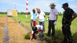 Pemkab Padang Pariaman, TNI, dan BWS Sumatera V menggelar Gerakan Irigasi Bersih di Irigasi Batang Anai, Nagari Punggung Kasiak, Kecamatan Lubuk Alung, Kamis (14/8/2025). (Foto: Kominfo Padang Pariaman)