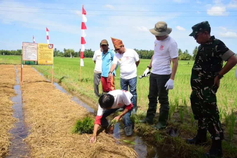 Pemkab Padang Pariaman, TNI, dan BWS Sumatera V menggelar Gerakan Irigasi Bersih di Irigasi Batang Anai, Nagari Punggung Kasiak, Kecamatan Lubuk Alung, Kamis (14/8/2025). (Foto: Kominfo Padang Pariaman)