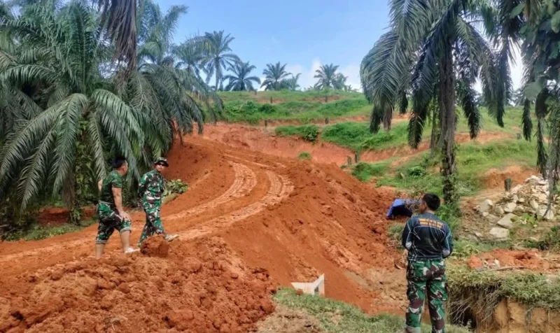 Dansatgas TNI TMMD ke-125 Kodim 0310/SS, Letkol Czi Joko Stradona, S.T, meninjau progres pembangunan badan jalan di Nagari Muaro Momong, Kecamatan Pulau Punjung, Kabupaten Dharmasraya, Sabtu (2/9/2025). (Foto: Pendim 0310/SS)