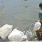 Pemko Padang Panjang menerima bantuan induk ikan dari BPBAT Sungai Gelam, Jambi, Sabtu (9/8/2025). (Foto: Kominfo Padang Panjang)