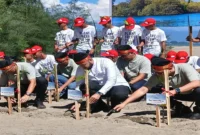 Wali Kota Padang, Fadly Amran bersama Yayasan AHM menanam 16 ribu bibit mangrove di kawasan pesisir Kota Padang, Jumat (22/8/2025). (Foto: Diskominfo Padang) 