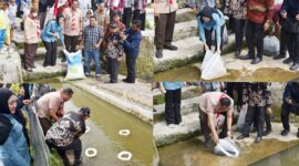 Wali Kota Pariaman, Yota Balad bersama Anggota DPR RI Komisi IV, Cindy Monica Salsabila Setiawan menebarkan 20 ribu benih ikan mas dan ikan nila di dua lokasi di Kecamatan Pariaman Tengah, Kamis (21/8/2025). (Foto: Kominfo Pariaman)